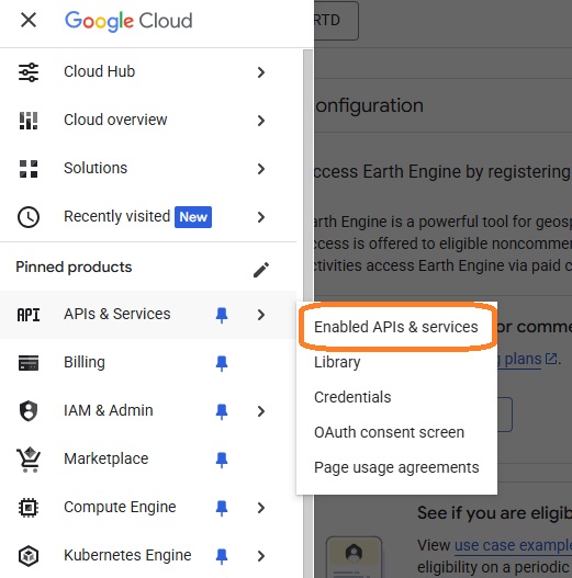 Enable EE API page screenshot